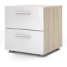 Tvilum Austin 2-Drawer Oak Structure/White High Gloss Nightstand