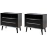 JAYDEN CREATION Leslie Mid-Century Modern Black 2-Drawer Nightstand with Built-In Outlets (Set of 2)