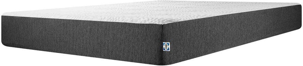 Sealy Essentials Queen Medium Firm Hybrid 10 in. Bed-in-a-Box Mattress