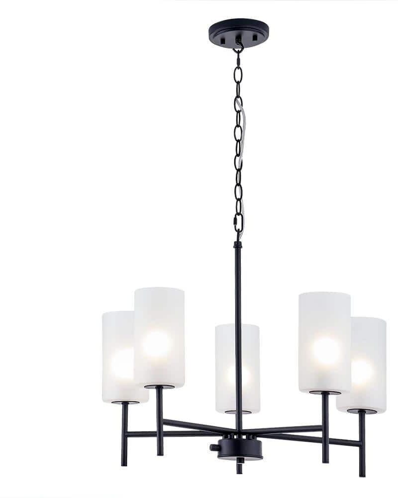 Home Decorators Collection Florabelle 5LT Chandelier matte black finish with glass shades