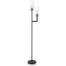 HomeRoots 69 in. Black 2 Light 1-Way (On/Off) Torchiere Floor Lamp for Liviing Room with Glass Cylin.der Shade