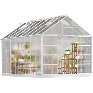 MELLCOM 10 ft. x 16 ft. Hobby Greenhouse for Plants, Aluminum Greenhouse Kit, Walk-In Green House with Adjustable Roof Vent