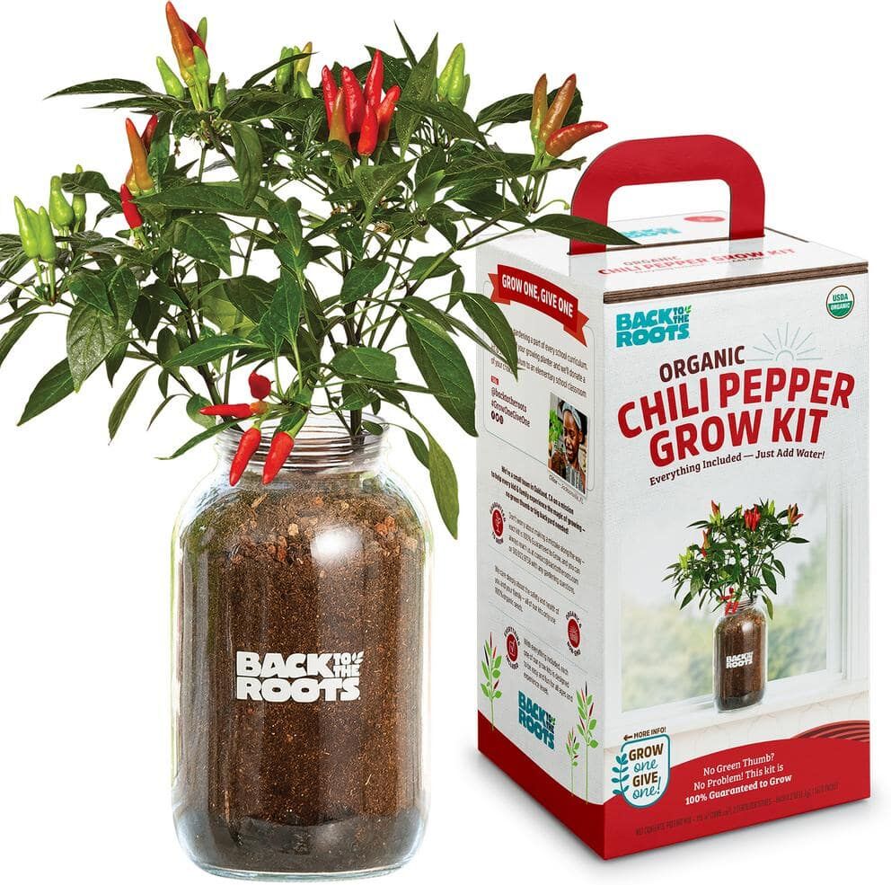 Back to the Roots Windowsill Organic Chili Pepper Grow Kit