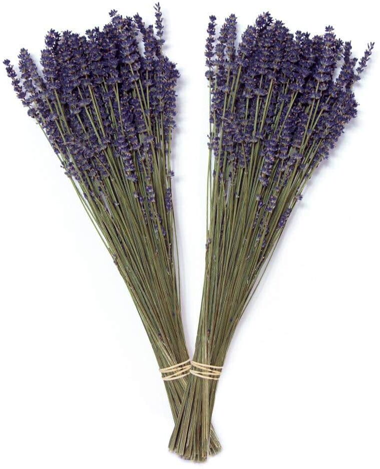 Bindle & Brass Lavender Dried Natural (2-Pack)