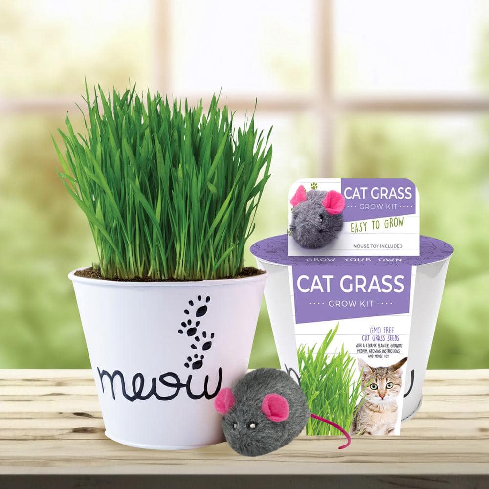 Garden State Bulb Cat Grass Herb Seed Grow Kit with Mouse Toy (2-Pack)