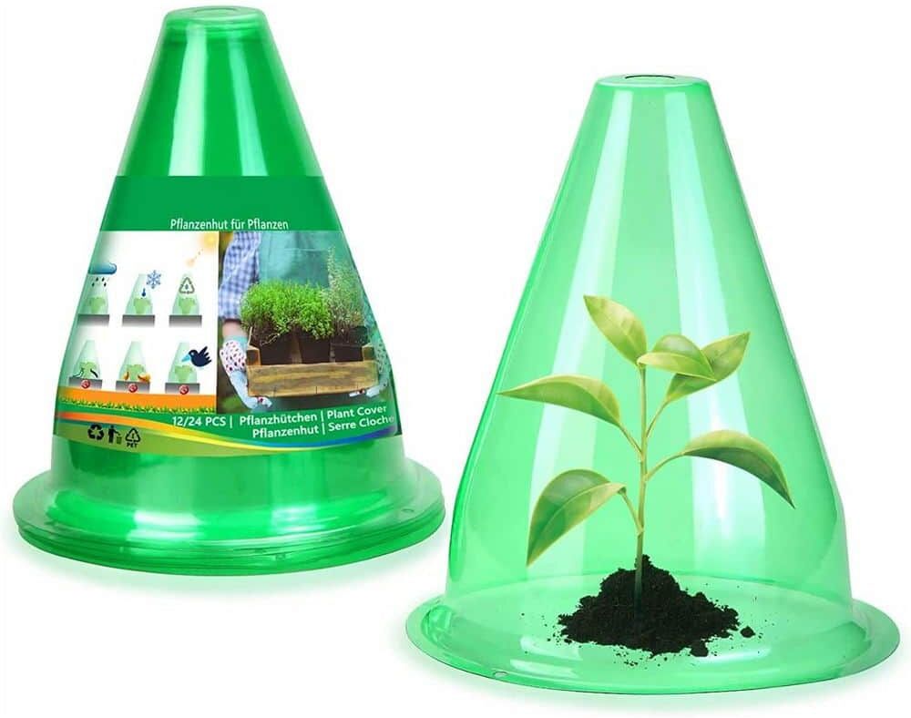 12 Pcs 7.8"D x 9.4"H Plant Protector Green Clear Cover to protect plants from birds, slugs, frost or weather