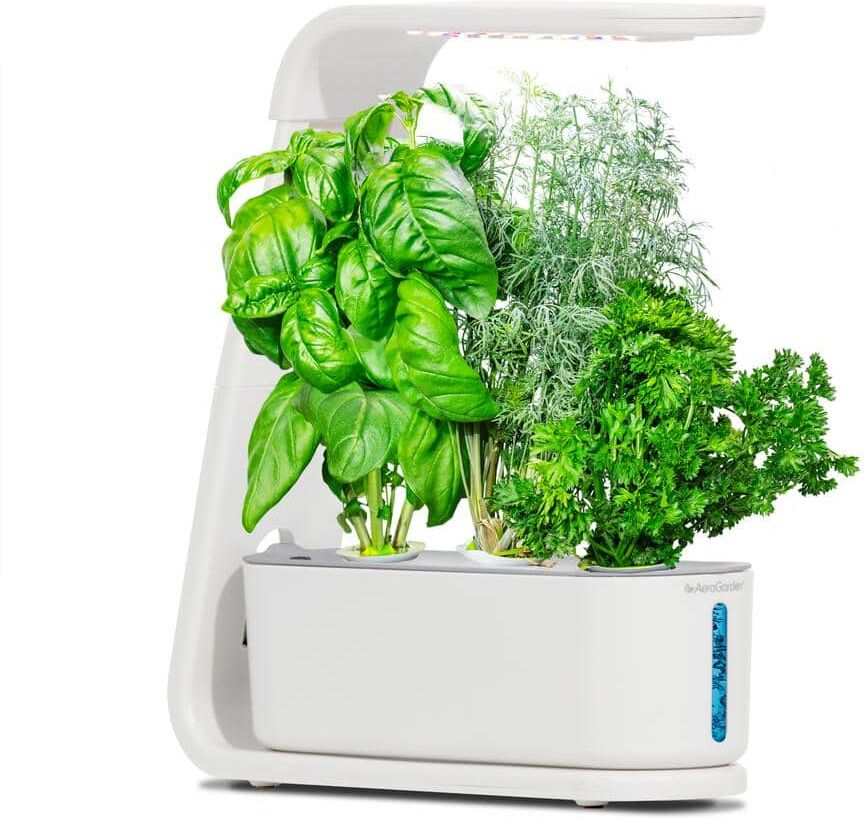 AeroGarden Sprout with Gourmet Herbs Seed Pod Kit - Hydroponic Indoor Garden, White