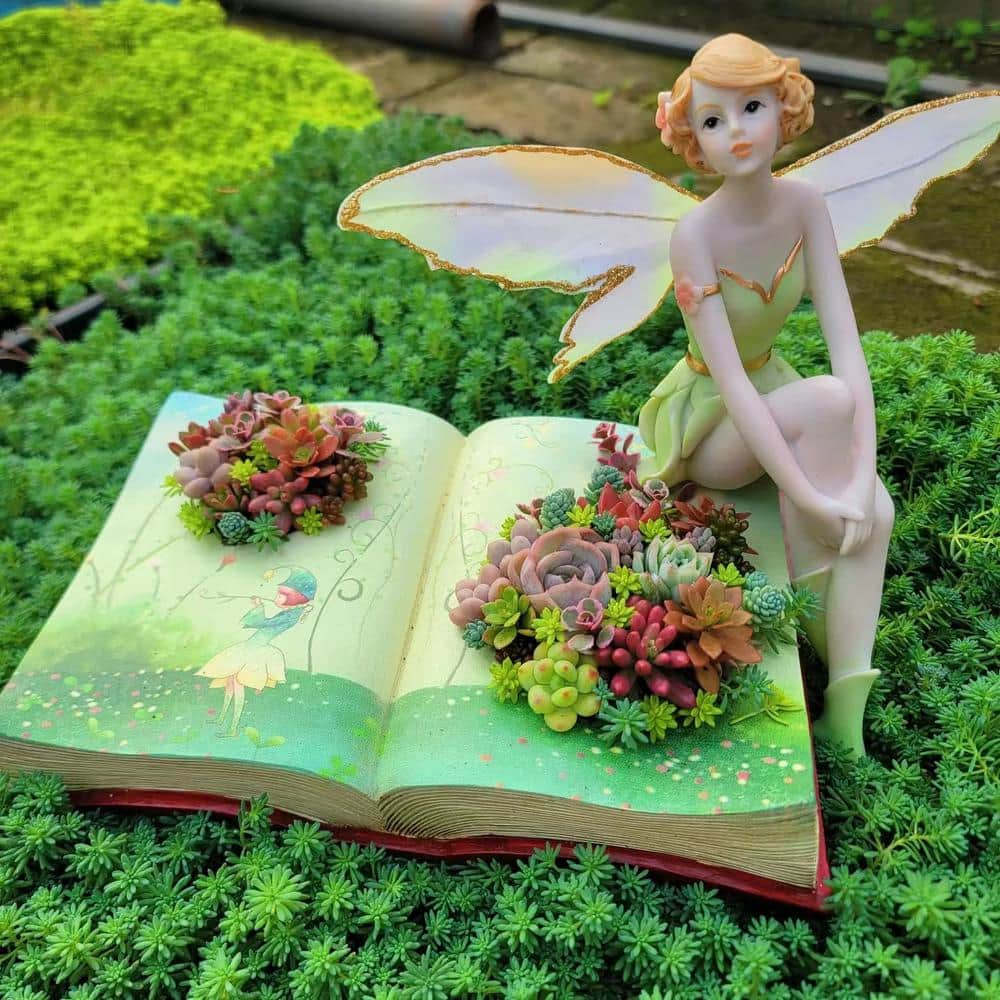 Cesicia Succulent Plants Collection Flowers with Book Style Decorative Base