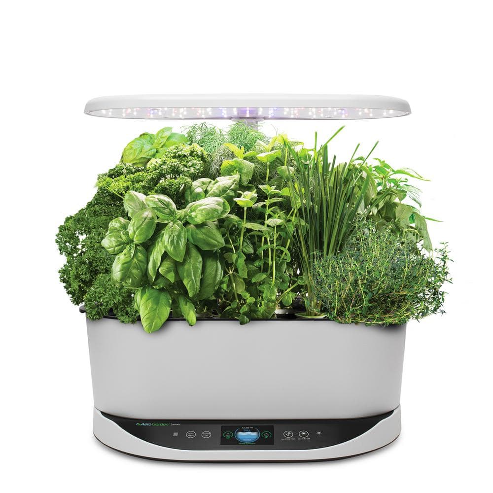 AeroGarden Bounty White - In Home Garden with Gourmet Herb Seed Pod Kit (Alexa Enabled)