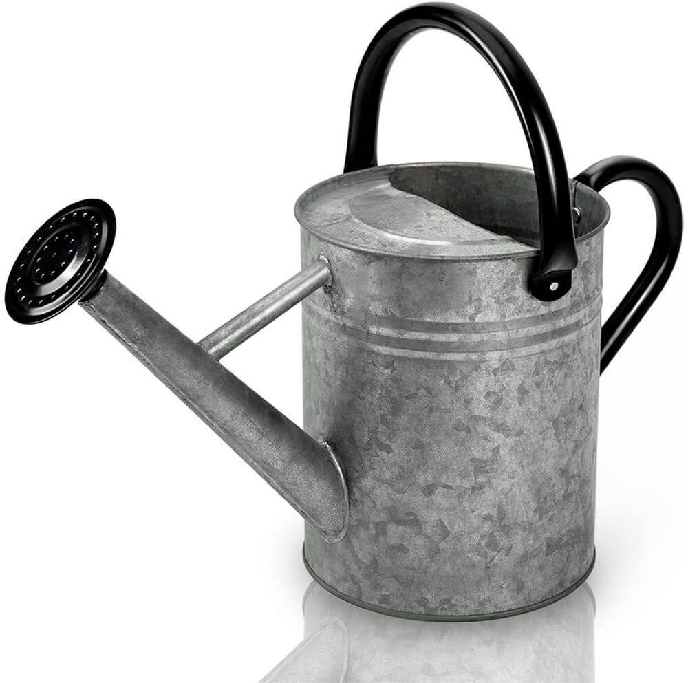 Dyiom 1 Gal. Galvanized Steel Watering Pot for Outdoor Plants with Removable Spray Spout in Vintage Zinc