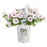 PROVEN WINNERS 4.25 in. Grande Supertunia Vista Silverberry (Petunia) Live Plants, White & Pink Flowers white w/lavender vein (4-Pack)