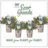 PROVEN WINNERS 4.25 in. Eco+Grande Endless Illumination (Browallia) Live Plant, Blue-Purple Flowers 4-Pack