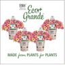 PROVEN WINNERS 4.25 in. Eco+Grande, Superbells Prism Pink Lemonade (Calibrachoa Hybrid), Live Plant, Pink Flowers (4-Pack)