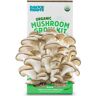 Back to the Roots Organic Mushroom Grow Kit