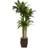 Nearly Natural 4.5 ft. Artificial Cornstalk Dracaena with Vase (Real Touch)