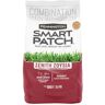 Pennington 5 lbs. Smart Patch Zoysia Grass Seed with Mulch, Fertilizer