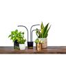 AeroGarden Trio Grow Light for Indoor Plants to Allow Live Plants to Grow Anywhere in the Home, Black