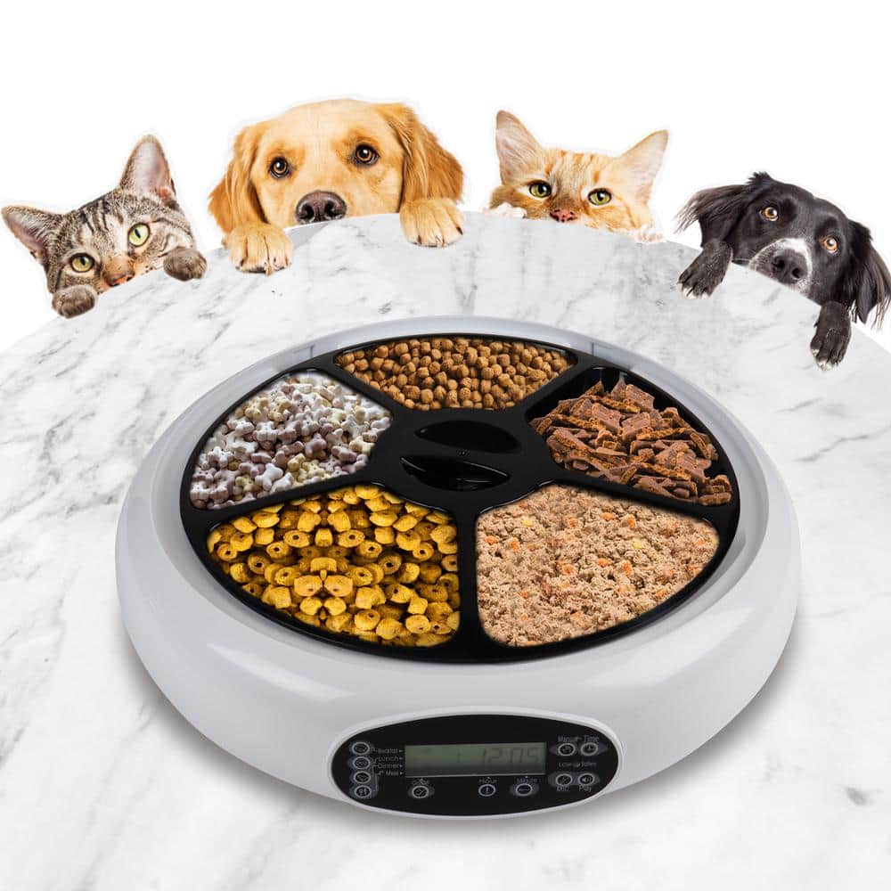 Lentek 5 Meal Automatic Pet Feeder with Voice Message, White, 5 oz Compartments for Portion Control
