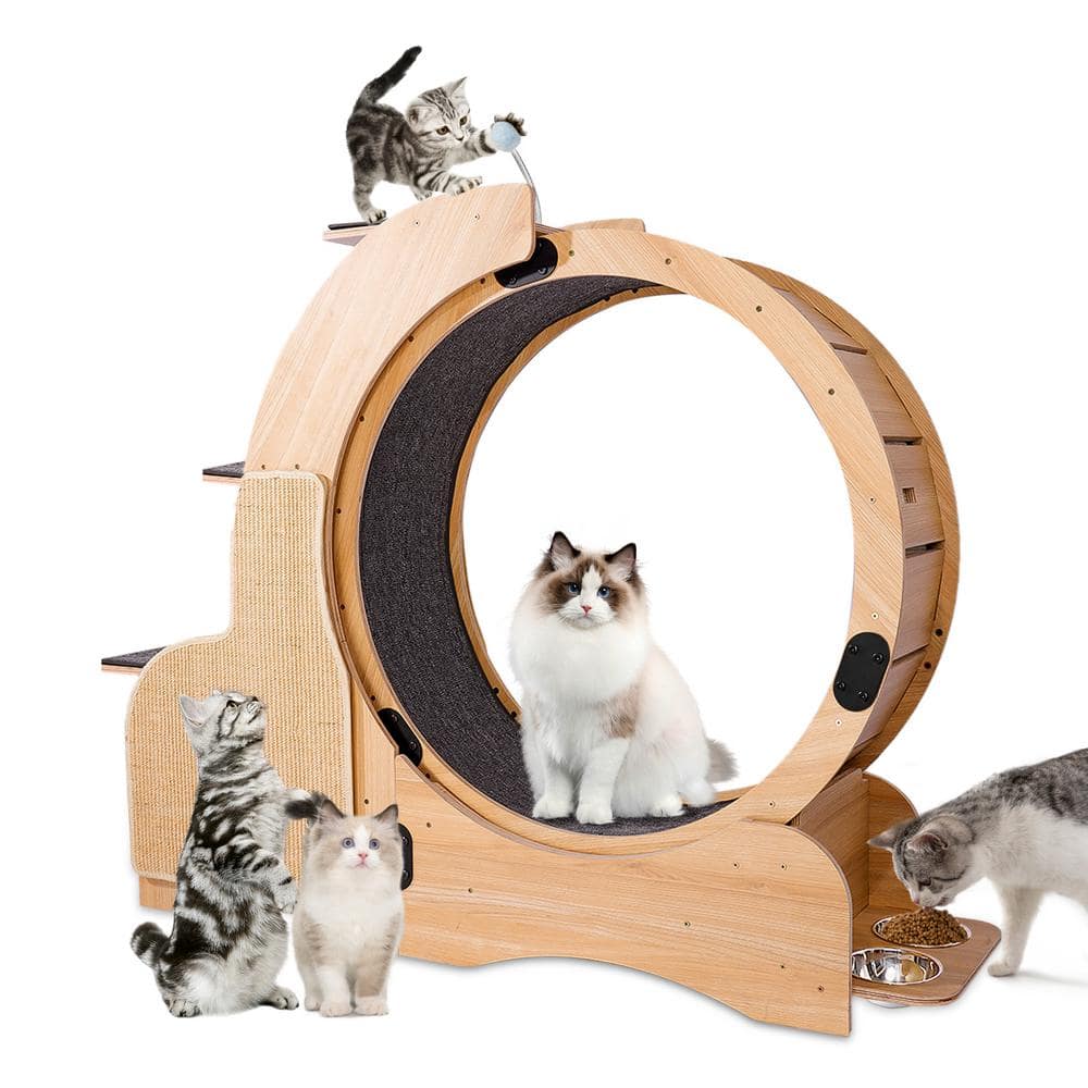 Cat Sports Running Wheel Cats Wheel Wood Climbing Frame Cat Litter Fitness Wheel Oversized Roller Cat Activity Center