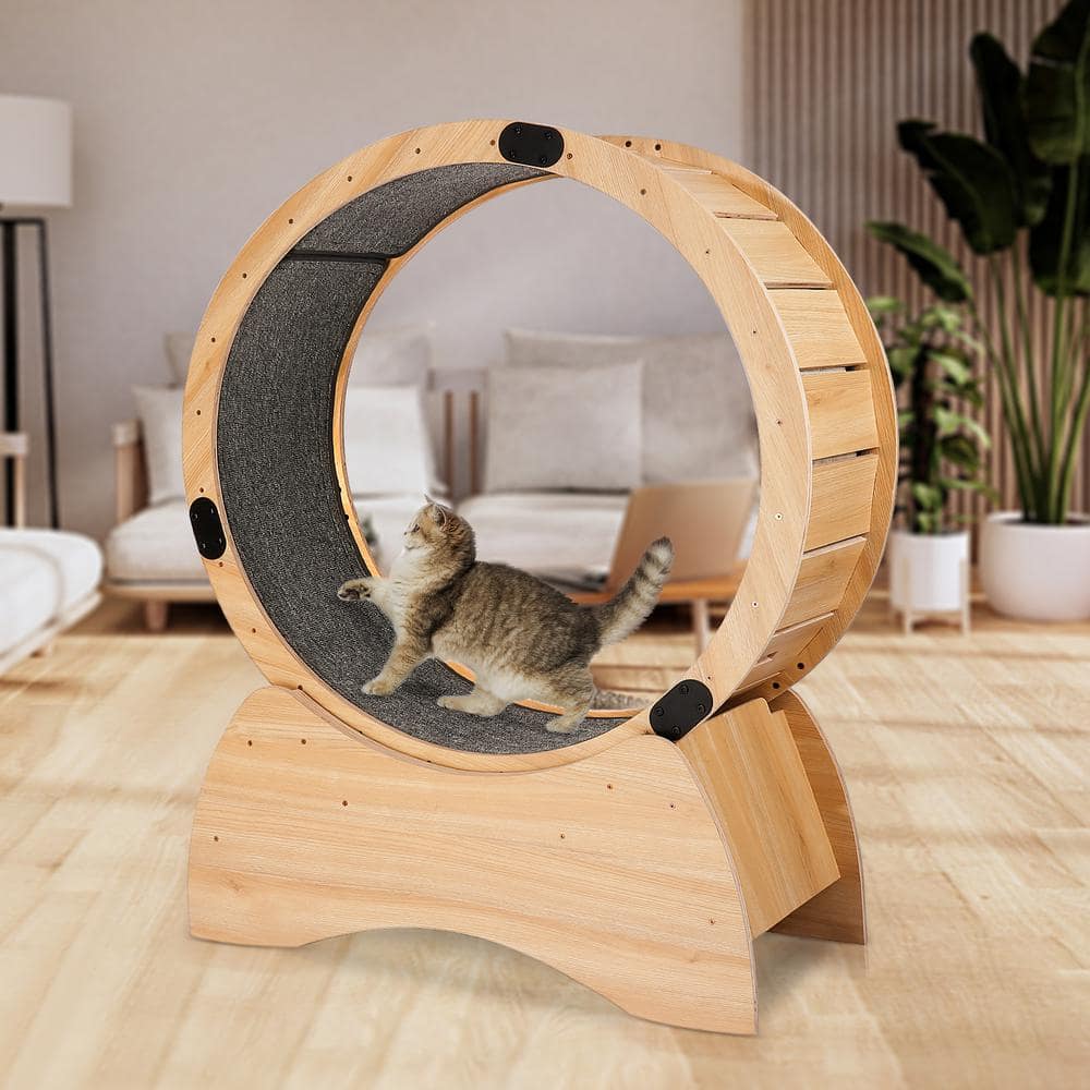 Cat Exercise Wheel Running Spinning Scratching Fun Cat Treadmill Carpeted Runway Kitty Cat Sport Toy Physical Activity