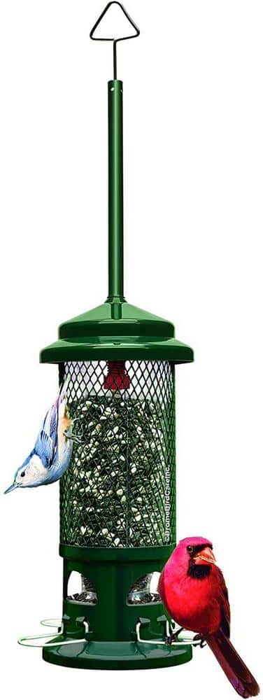 10 in. H Hanging Standard Squirrel Resistant Bird Feeder with 4 Metal Perches, 1.3 lbs. Seed Capacity, Garden Greens