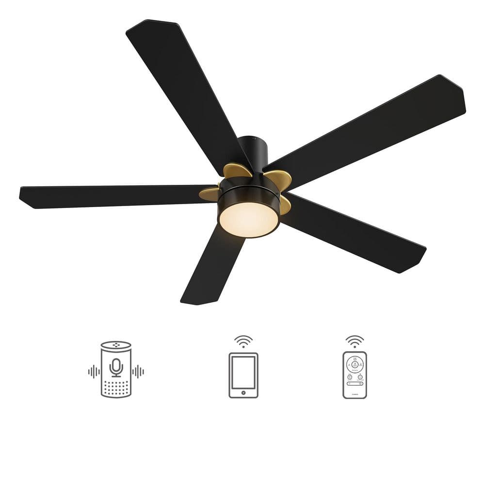 CARRO Granby 52 in. Integrated LED Indoor/Outdoor Black DC Motor Smart Ceiling Fan w/Light/Remote, Works w/Alexa/Google Home