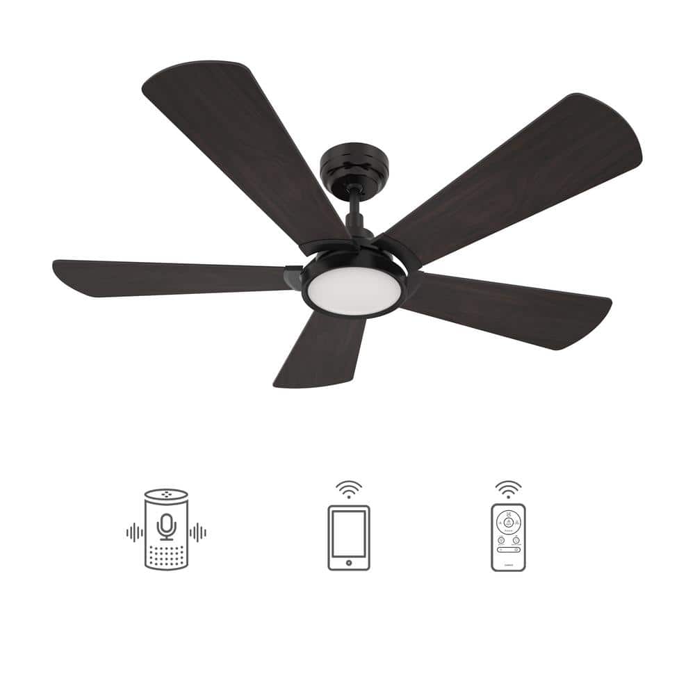 CARRO Wilkes 52 in. Dimmable LED Indoor/Outdoor Black Smart Ceiling Fan with Light and Remote, Works with Alexa/Google Home