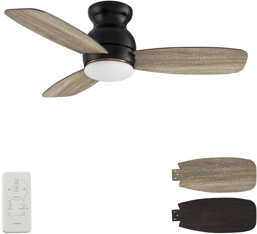 CARRO Trendsetter 44 in. Dimmable LED Indoor/Outdoor Black Smart Ceiling Fan with Light and Remote, Works w/Alexa/Google Home