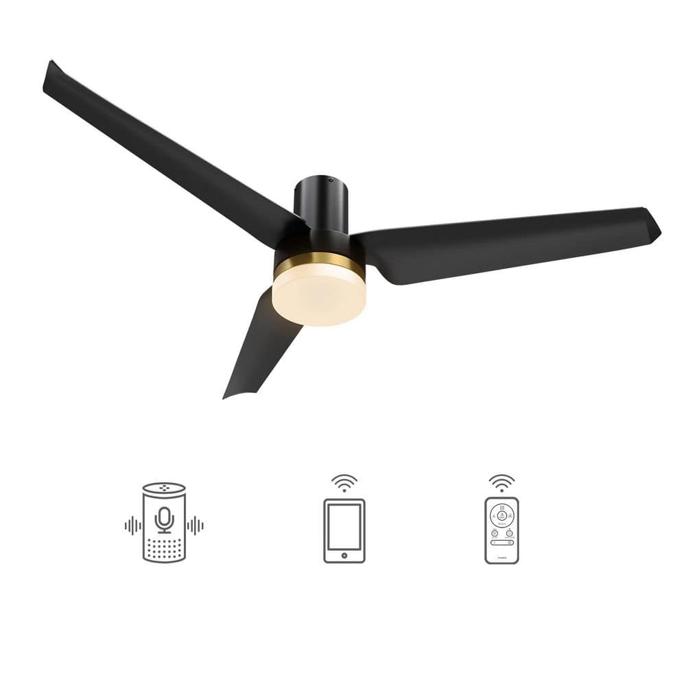 CARRO Attis 52 in. Integrated LED Indoor Black DC Motor Smart Ceiling Fan with Light and Remote, Works with Alexa/Google Home
