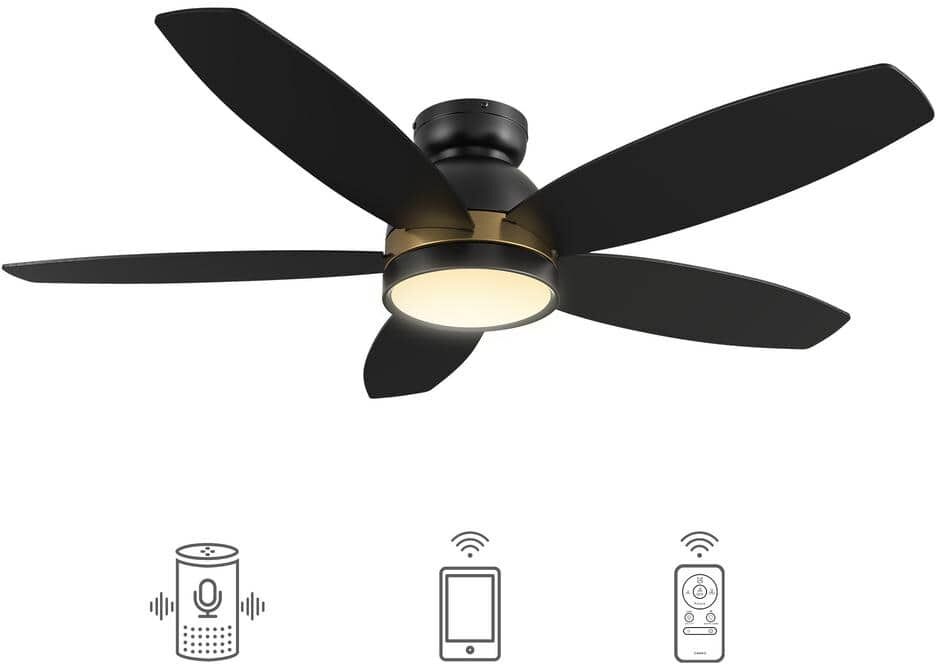 CARRO Levi 48 in. Dimmable LED Indoor/Outdoor Black Smart Ceiling Fan with Light and Remote, Works with Alexa/Google Home