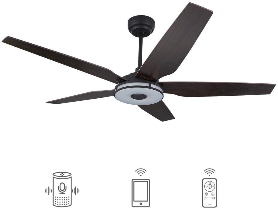 CARRO Starfish 52 in. Dimmable LED Indoor/Outdoor Black Smart Ceiling Fan with Light and Remote, Works with Alexa/Google Home