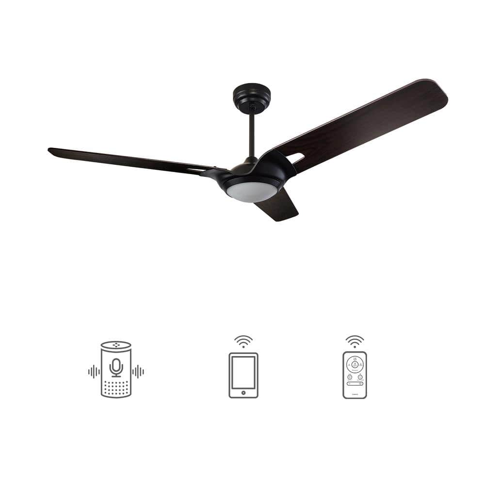 CARRO Alden 52 in. Dimmable LED Indoor/Outdoor Black Smart Ceiling Fan with Light and Remote, Works with Alexa/Google Home