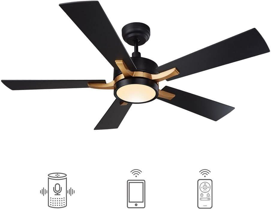 CARRO Apex 52 in. Integrated LED Indoor/Outdoor Black Smart Ceiling Fan with Light and Remote, Works w/Alexa/Google Home