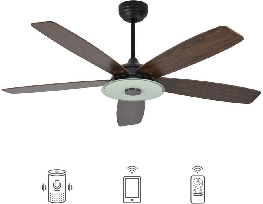 CARRO Hardley 52 in. Dimmable LED Indoor/Outdoor Black Smart Ceiling Fan with Light and Remote, Works with Alexa/Google Home