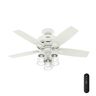 Hunter Bennett 44 in. Indoor Fresh White Ceiling Fan with Light Kit and Remote Control