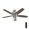 Hunter Bennett 52 in. LED Indoor Brushed Nickel Ceiling Fan with Globe Light Kit and Handheld Remote Control