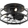 Parrot Uncle 12.5 in. Indoor Matte Black Flush Mount Caged DC Motor Ceiling Fan with Remote Control and Light Bulbs Included