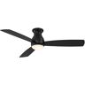 FANIMATION Hugh 52 in. Integrated LED Indoor/Outdoor Black Ceiling Fan with Light Kit and Remote Control