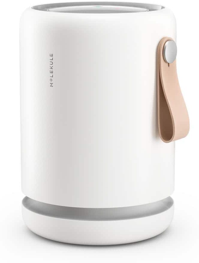 MOLEKULE Air Mini + 250 sq.ft. Air Purifier with PECO-HEPA Tri-Power Filter