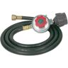 Sportsman 5 ft. LP Hose and Regulator Kit with 5/8 in. Female Outlet Thread MIP