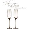 BERKWARE Luxurious and Elegant smoke Colored 7.3 oz. Champagne Flutes (Set of 2)