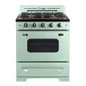 Unique Classic Retro 30 in. 3.9 cu. ft. Retro Gas Range with Convection Oven in Summer Mint Green