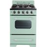 Unique Classic Retro 24 in. 2.9 cu. ft. Retro Gas Range with Convection Oven in Summer Mint Green