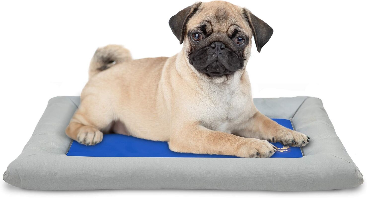 Arf Pets Self Cooling Pet Bed, Gel-based Portable Dog Mat, Small, Blue