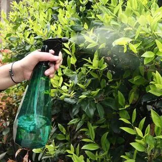 Showroom Plastic Gardening Spray Bottle  - Womens