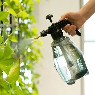 Popcorn Gardening Spray Bottle  - Womens