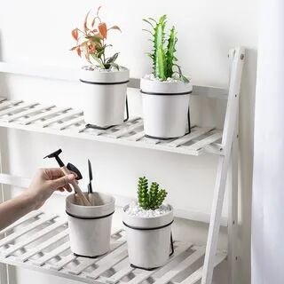 Billop Plain Ceramic Gardening Pot with Adhesive Alloy Holder White - One Size  - Womens