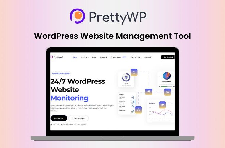 DealFuel Pretty WP – WordPress Website Management Tool / Care [5 sites]