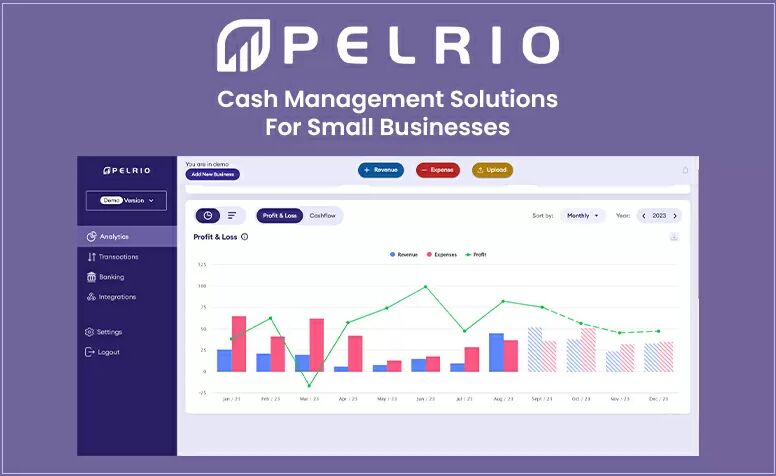 DealFuel Pelrio- Cashflow Management Software / Lifetime Access