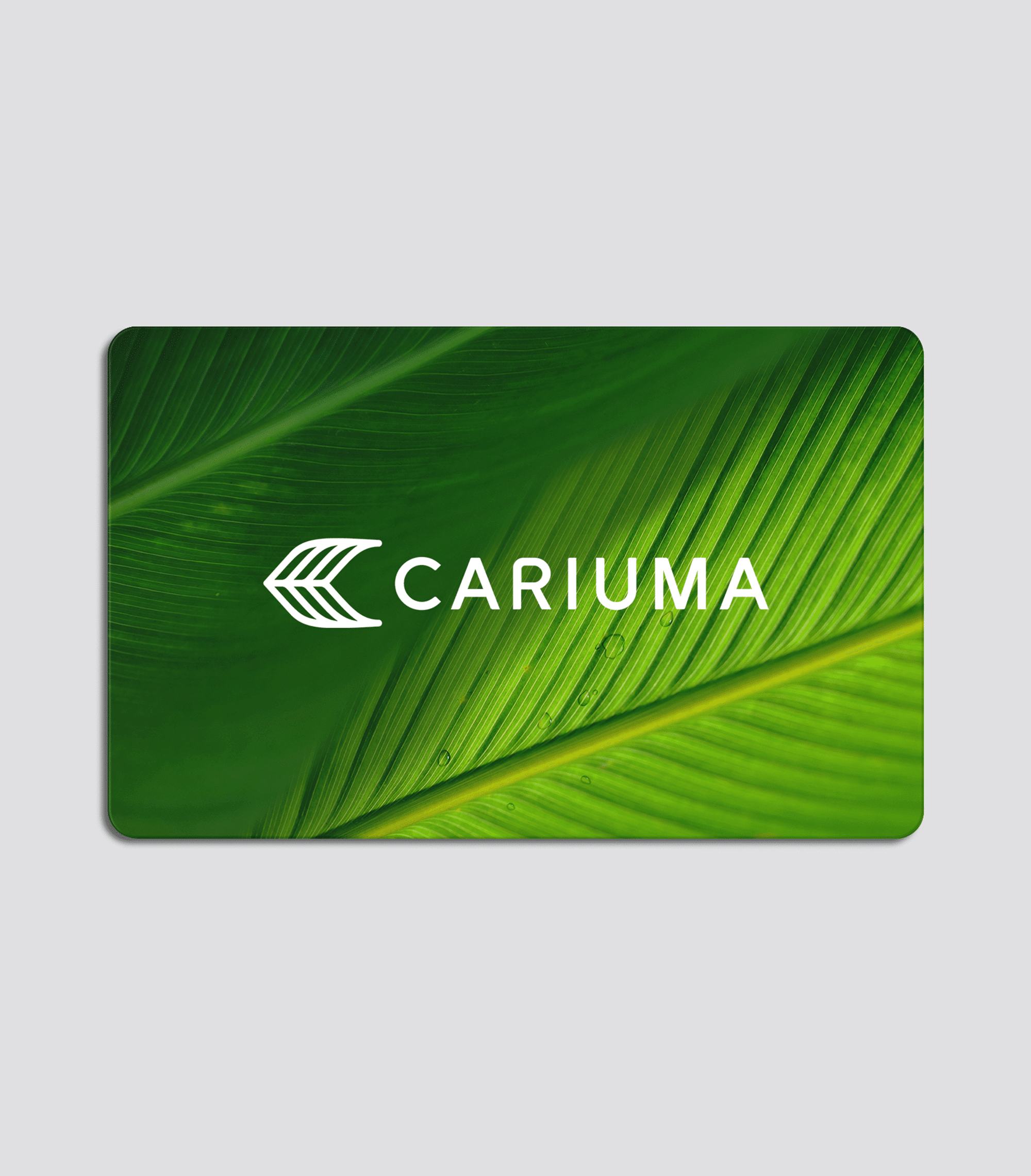 Cariuma Digital Gift Card size: